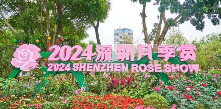 2024深圳人民公園月季花展要門票嗎？